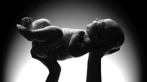 Menschliche Babys wachsen im Mutterleib schneller als die von Affen