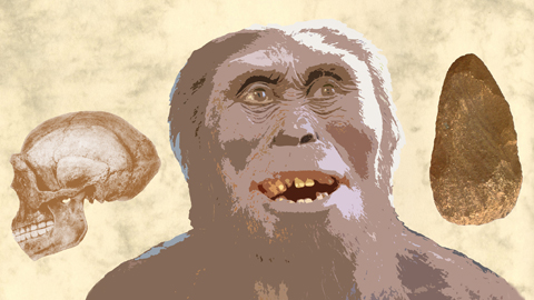 Collage aus Lucy-Rekonstruktion, Homo erectus und Faustkeil